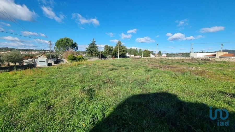 Terreno para Venda em Lajeosa do Mondego Foto 5