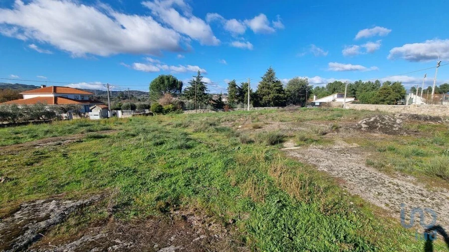 Terreno para Venda em Lajeosa do Mondego Foto 9