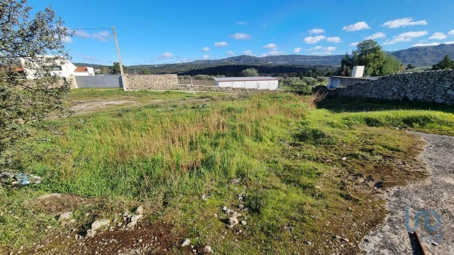 Terreno para Venda em Lajeosa do Mondego Foto 3