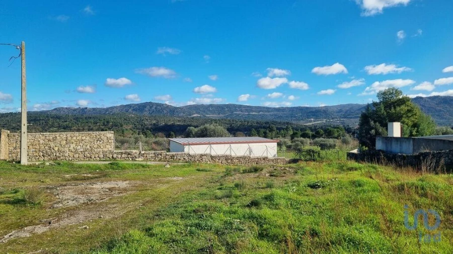 Terreno para Venda em Lajeosa do Mondego Foto 7