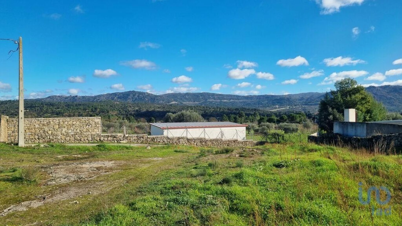 Terreno para Venda em Lajeosa do Mondego Foto 7
