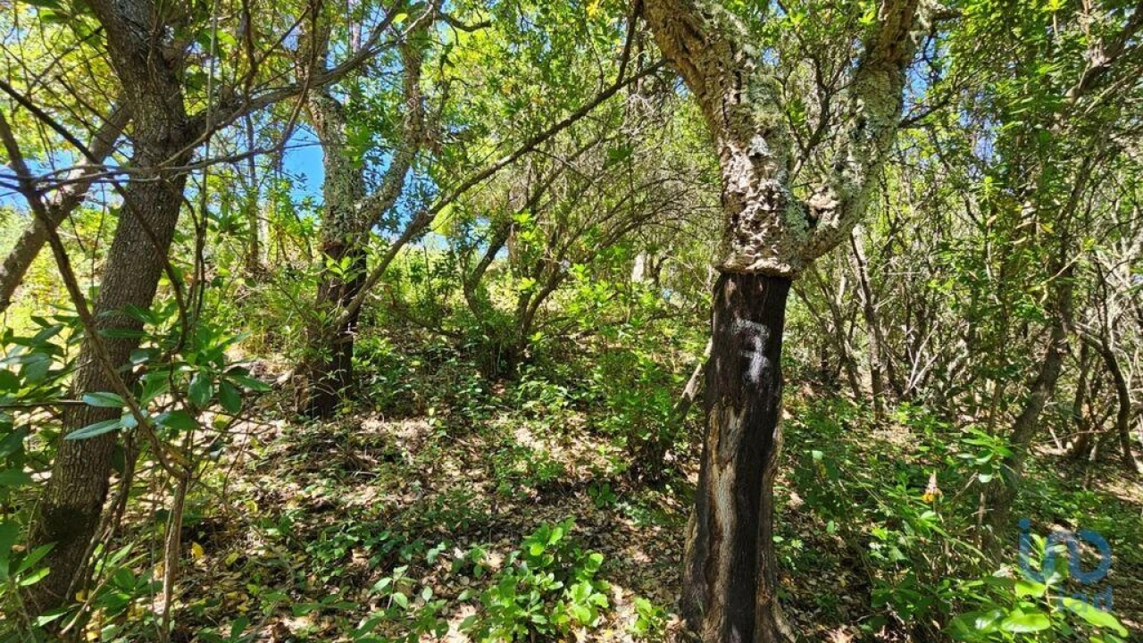 Moradia T2 para Venda em São Teotónio Foto 5