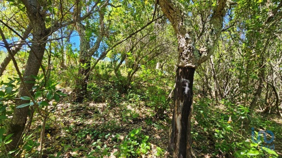 Moradia T2 para Venda em São Teotónio Foto 5