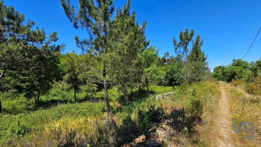 Moradia T2 para Venda em São Teotónio Foto 4