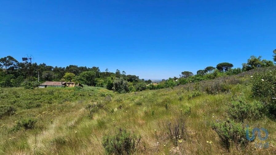 Moradia T2 para Venda em São Teotónio Foto 7