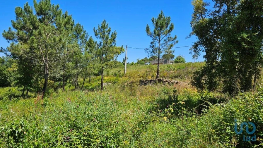 Moradia T2 para Venda em São Teotónio Foto 3