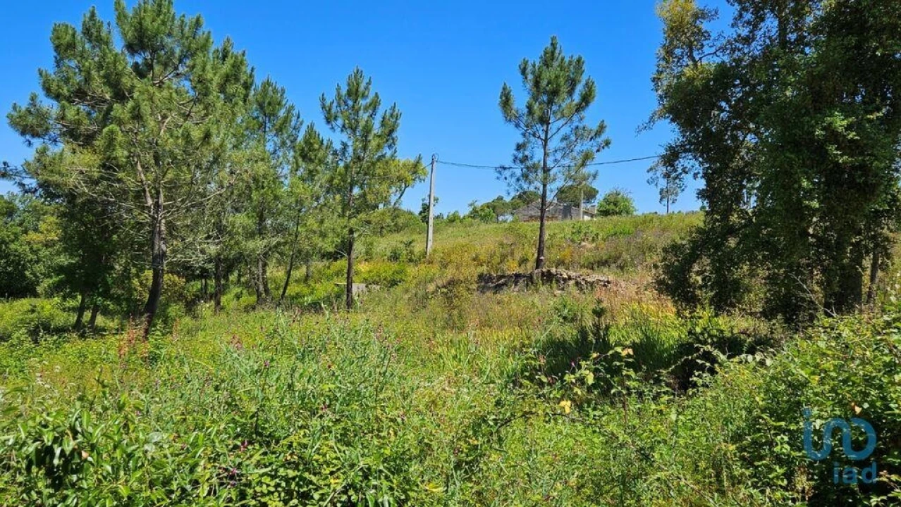 Moradia T2 para Venda em São Teotónio Foto 3