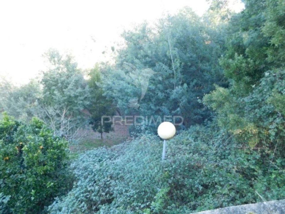 Terreno para Venda em Luso Foto 11