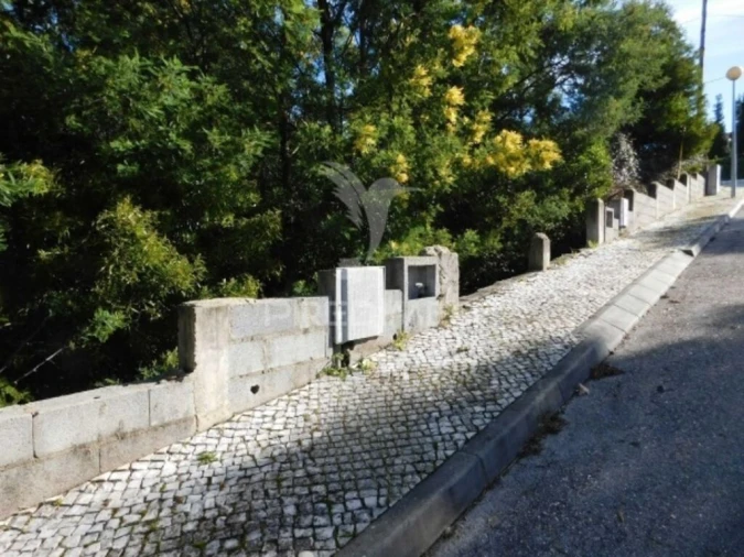 Terreno para Venda em Luso Foto 19