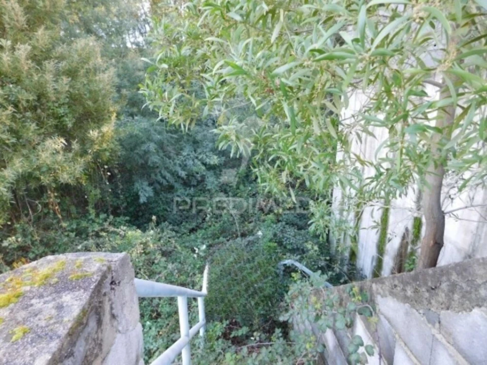 Terreno para Venda em Luso Foto 12