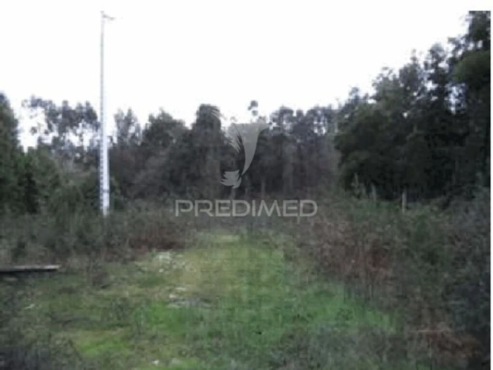 Terreno para Venda em Mozelos Foto 2