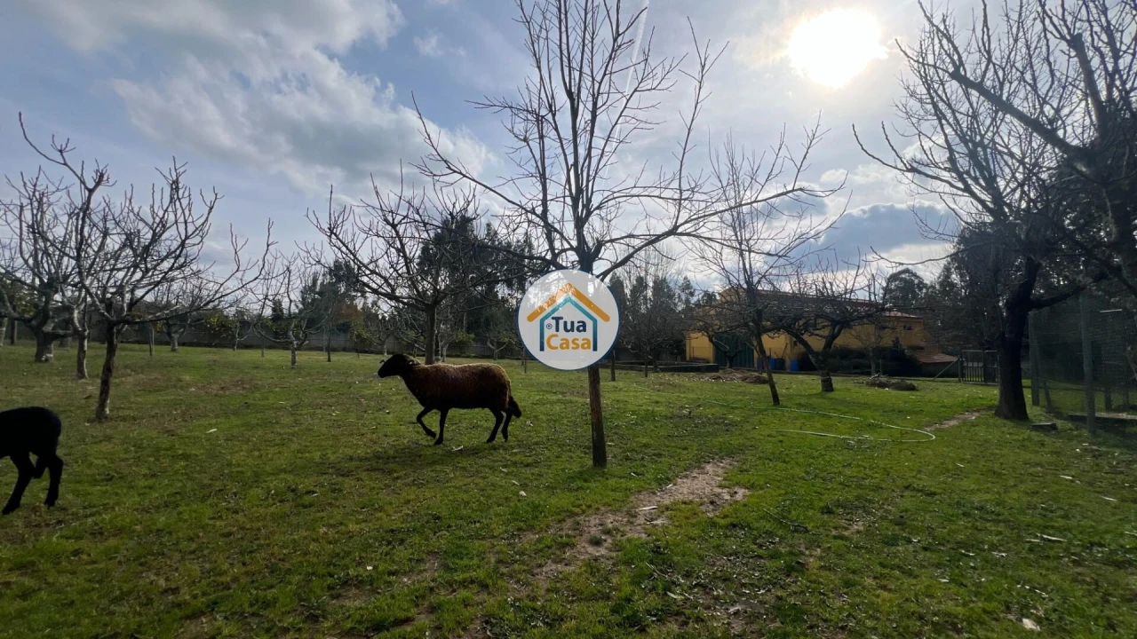 Quinta T5 para Venda em Canedo, Vale e Vila Maior Foto 22