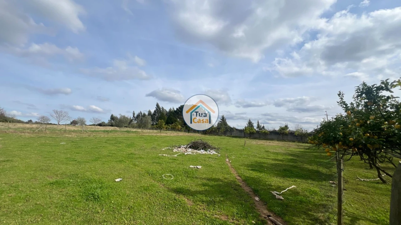 Quinta T5 para Venda em Canedo, Vale e Vila Maior Foto 27