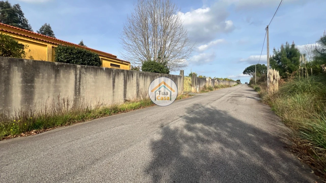 Quinta T5 para Venda em Canedo, Vale e Vila Maior Foto 5