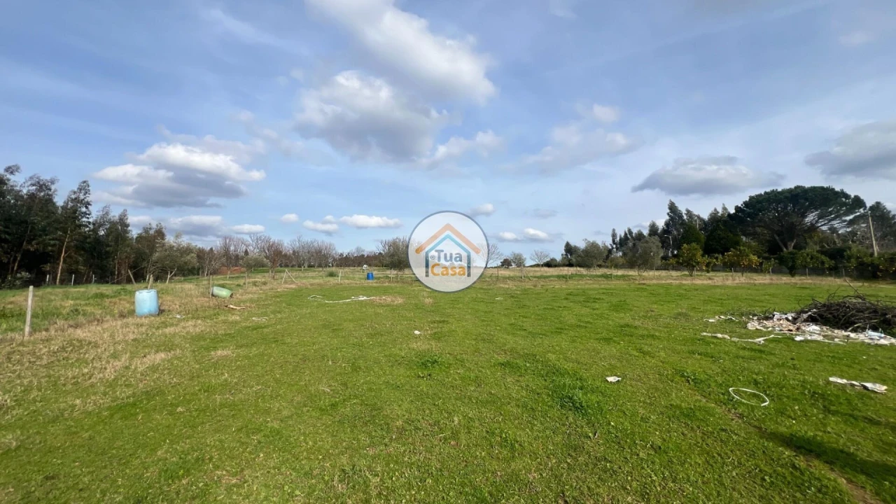 Quinta T5 para Venda em Canedo, Vale e Vila Maior Foto 28