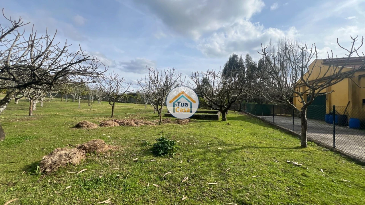 Quinta T5 para Venda em Canedo, Vale e Vila Maior Foto 19