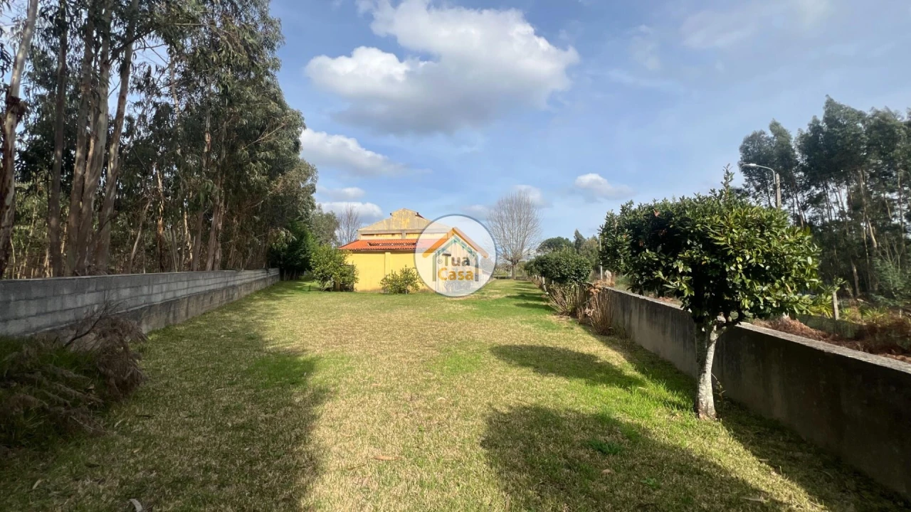 Quinta T5 para Venda em Canedo, Vale e Vila Maior Foto 32