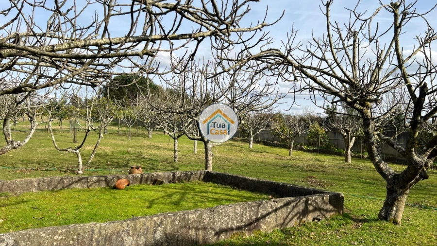 Quinta T5 para Venda em Canedo, Vale e Vila Maior Foto 26