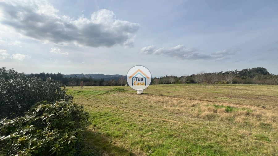 Quinta T5 para Venda em Canedo, Vale e Vila Maior Foto 31