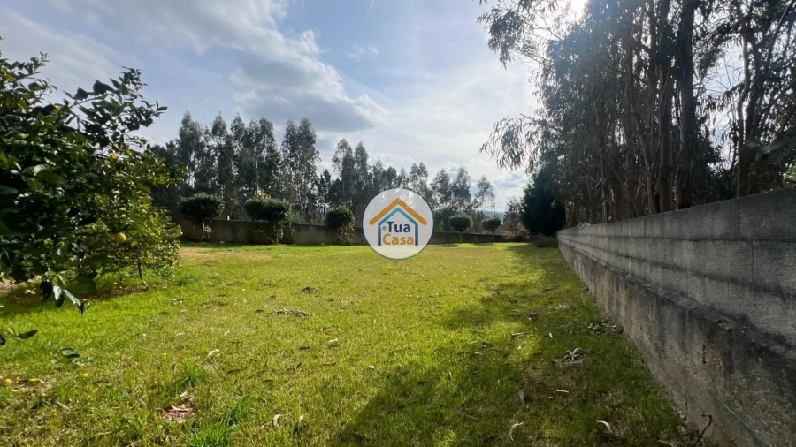 Quinta T5 para Venda em Canedo, Vale e Vila Maior Foto 7