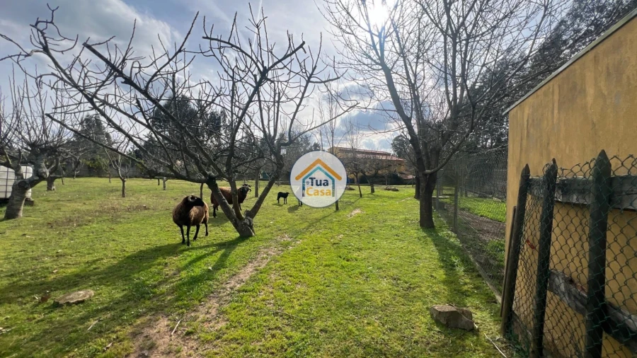 Quinta T5 para Venda em Canedo, Vale e Vila Maior Foto 15