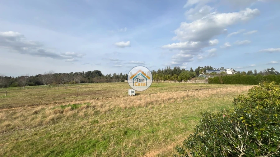 Quinta T5 para Venda em Canedo, Vale e Vila Maior Foto 30