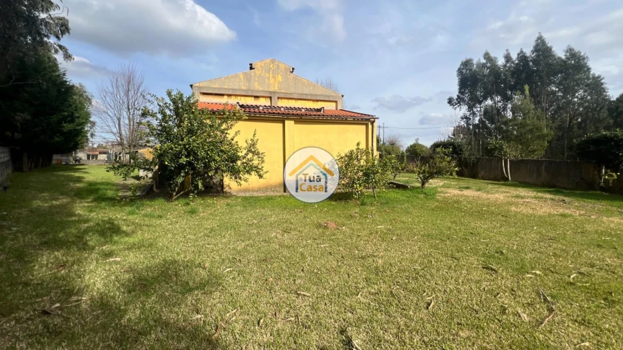 Quinta T5 para Venda em Canedo, Vale e Vila Maior Foto 6