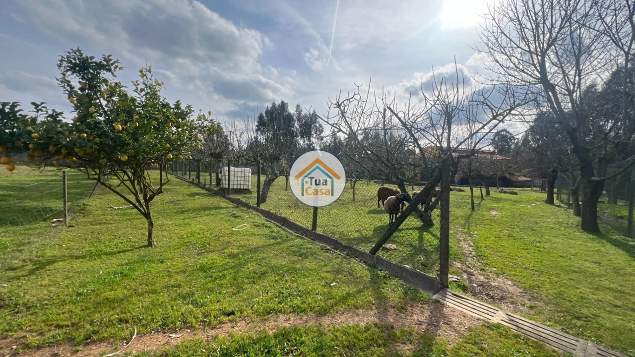 Quinta T5 para Venda em Canedo, Vale e Vila Maior Foto 3