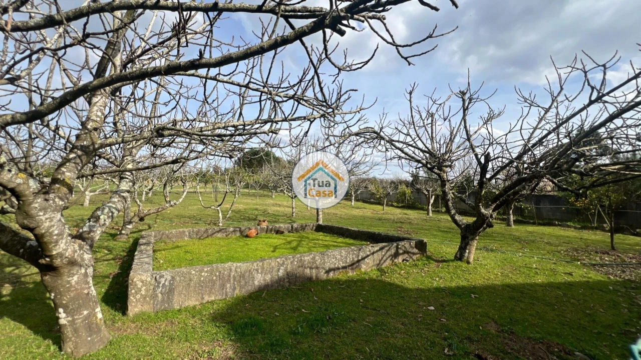Quinta T5 para Venda em Canedo, Vale e Vila Maior Foto 16