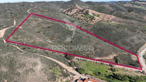 Quinta para Venda em Santana da Serra