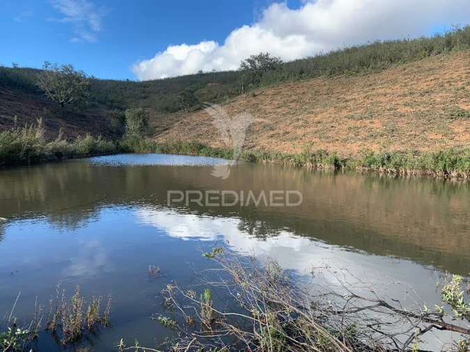 Terreno para Venda em Santana da Serra Foto 5