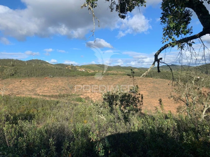 Terreno para Venda em Santana da Serra Foto 6