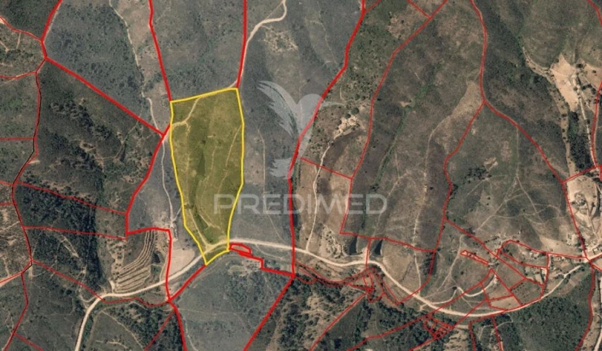 Terreno para Venda em Santana da Serra Foto 4