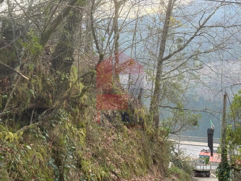 Terreno para Venda em Vilar da Veiga Foto 15