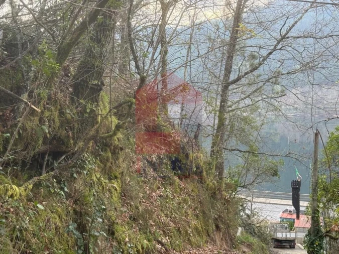 Terreno para Venda em Vilar da Veiga Foto 15