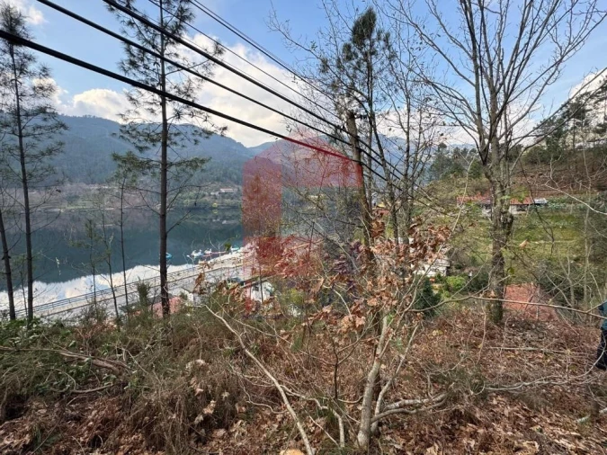 Terreno para Venda em Vilar da Veiga Foto 19