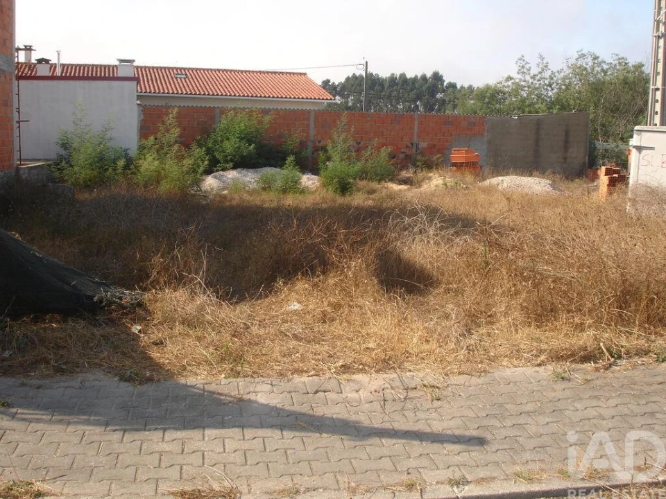 Terreno para Venda em Vieira de Leiria Foto 10