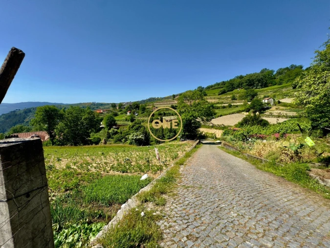 Terreno para Venda em Viariz Foto 1