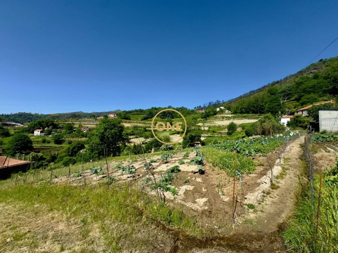Terreno para Venda em Viariz Foto 10