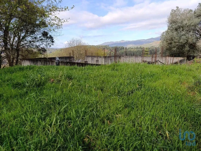 Terreno para Venda em Chaviães e Paços Foto 4