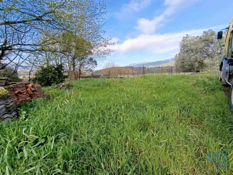 Terreno para Venda em Chaviães e Paços Foto 3