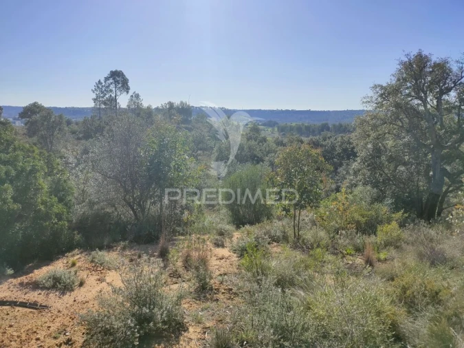 Terreno para Venda em Monsanto Foto 2