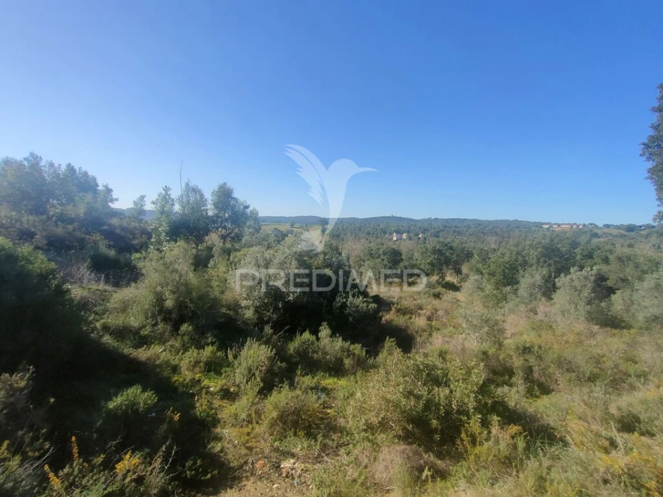 Terreno para Venda em Monsanto Foto 5