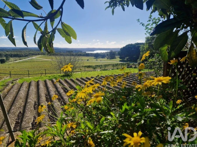 Moradia T5 para Venda em Nadadouro Foto 3