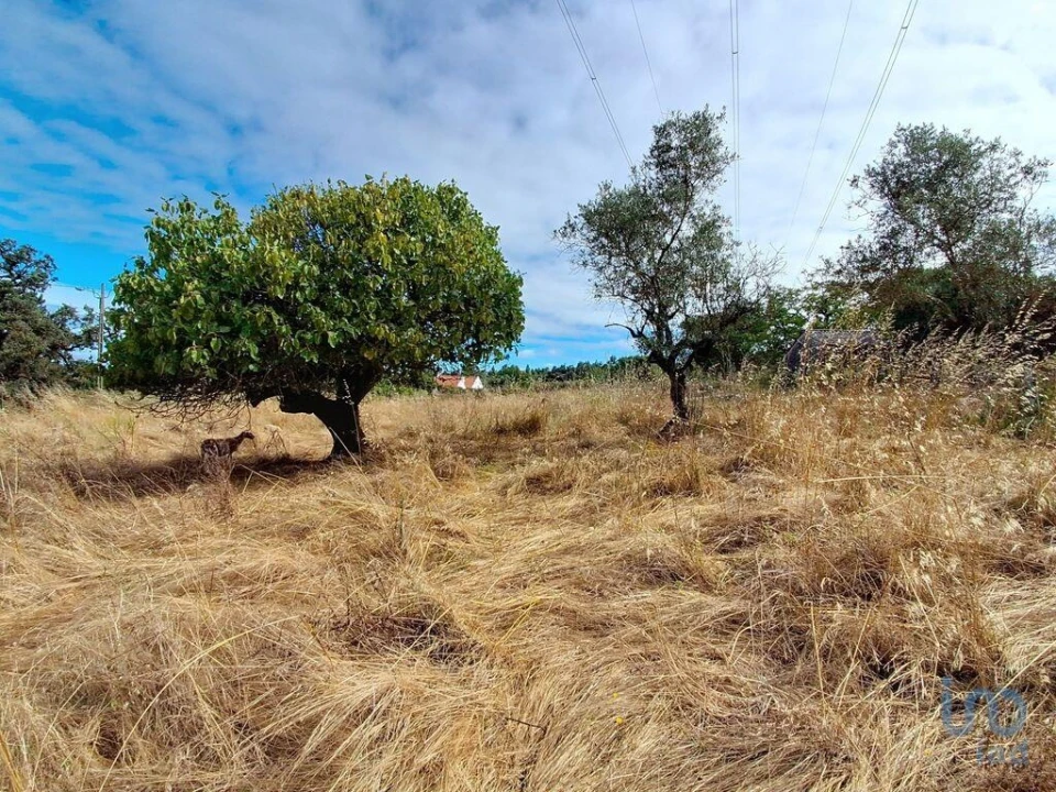 Moradia T2 para Venda em Alcobaça e Vestiaria Foto 13
