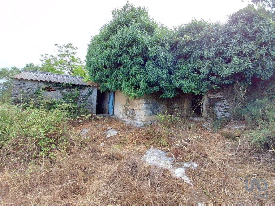 Moradia T2 para Venda em Alcobaça e Vestiaria Foto 9