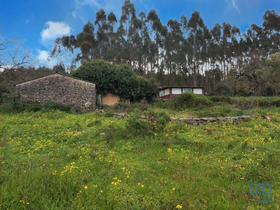 Moradia T2 para Venda em Alcobaça e Vestiaria Foto 3
