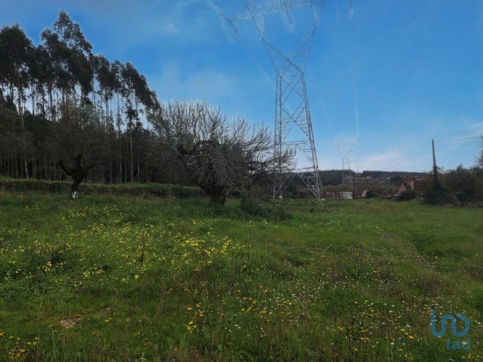 Moradia T2 para Venda em Alcobaça e Vestiaria Foto 5