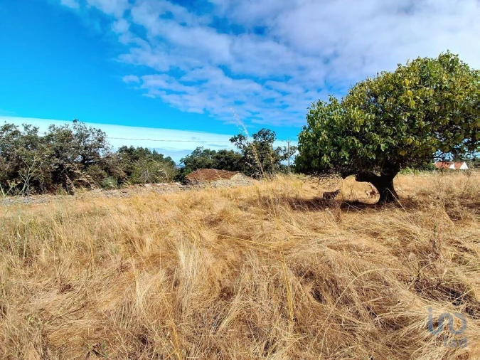 Moradia T2 para Venda em Alcobaça e Vestiaria Foto 14
