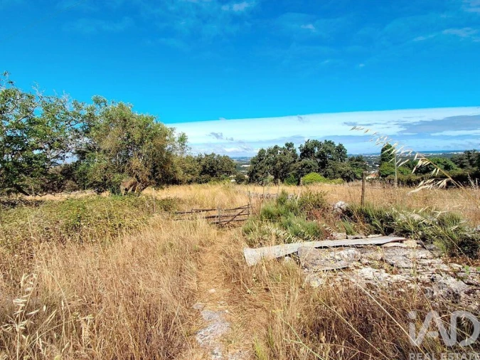 Moradia T2 para Venda em Alcobaça e Vestiaria Foto 15